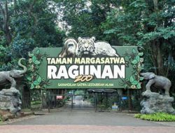 Syarat ke Kebun Binatang Ragunan Juni 2021, Khusus KTP Jakarta