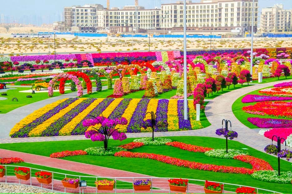 Miracle Garden Destinasi Wisata di Dubai