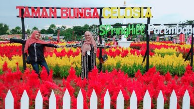 Taman Bunga Celosia Springhill Palembang, Lokasi dan Harga Tiket Masuk