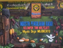 Lokasi dan Harga Tiket Masuk Wisata Desa Dlanggu Mojokerto