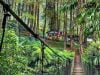 Wisata Bogor, Dapat Masuk Daftar Kota Arah Liburanmu