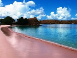 Keindahan Pantai Pasir Pink yang Menakjubkan di Pulau Lombok