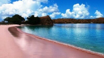 Keindahan Pantai Pasir Pink yang Menakjubkan di Pulau Lombok