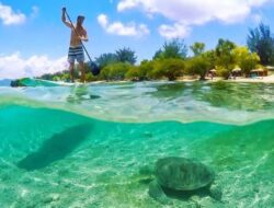 Tempat Terbaik untuk Melakukan Diving dan Snorkeling Pulau Gili