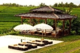 1 BR-SERENITY COLONY VILLA RICE FIELD SUNSET VIEWS – Bali – Indonesia