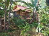Bali forest cabin – Bali – Indonesia
