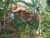 Bali forest cabin – Bali – Indonesia
