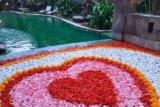 Luxury 1 BR Deluxe Plunge Pool #YN25 – Bali – Indonesia