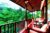 Comfortable 1 BR with Jungle View Villa IR15A – Bali – Indonesia