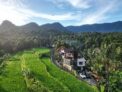 Taman Dari – Bali – Indonesia