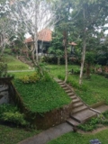 Argasoka Bungalows – Bali – Indonesia