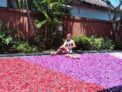 Villa Pool  Private  In Kuta Bali – Bali – Indonesia