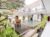 OYO 3910 Teges Inn – Bali – Indonesia