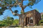 Stay at Amazing Tropical Wooden Room – Bali – Indonesia