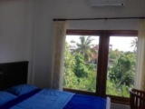 Standard Fan 02 – Bali – Indonesia