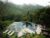 Beji Ubud Resort – Bali – Indonesia
