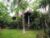 Mahesa house 1- one bedroom private house in ubud – Bali – Indonesia