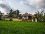 Ubud Luwih – Bali – Indonesia