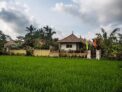 Ubud Luwih – Bali – Indonesia