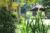 tegal jero homestay – Bali – Indonesia
