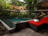 Natha Ubud Private Pool Villa – Bali – Indonesia