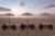 Kedonganan Beach Villas – Bali – Indonesia