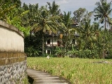 Eden House Ubud Bali – Bali – Indonesia