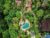 Ibah Luxury Villas and Spa – Bali – Indonesia