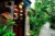 One BR Villa with Private Pool-Breakfast#BDS – Bali – Indonesia