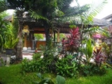 Surf Doggie Inn – Bali – Indonesia