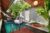 1BDR Honeymoon Villas at Legian – Bali – Indonesia