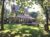 Healing Oasis, Jungle Views, Pool and Fruit Trees – Bali – Indonesia