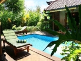 Dolphin at Lovina Beachhouse Villas – Bali – Indonesia