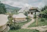 Alamu – Bali – Indonesia
