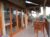 Bali Sari Homestay – Bali – Indonesia