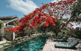 ASAI Village – Bali – Indonesia