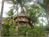 The Romantic Coconut Tree Hut of Villa Arjuna – Bali – Indonesia