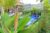 Winter Villa – Bali – Indonesia