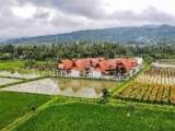 Bhumi Lovina Residence & Villa – Bali – Indonesia