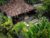 PRAMA house #2 “Charming 2BR wooden house ubud” – Bali – Indonesia