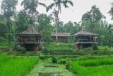Tepi Sawah Lodge – Bali – Indonesia