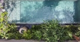 Blossom Eco Luxe Villas by Ekosistem – Bali – Indonesia