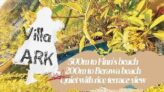 Villa Ark Finns Beach Cangu（Fatty Lion ) – Bali – Indonesia