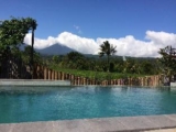 The Champuhan – Honeymoon Villa Rice Field View – Bali – Indonesia