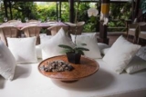Citrus Tree Villas -Jean Francois (Incl Breakfast) – Bali – Indonesia