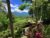 Gunung Paradis Retreat – Bali – Indonesia