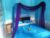 Sukawana Room sharing Kitchen stay for 1 person – Bali – Indonesia