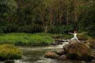 1BR Private Pool w/ Riverside & Ayung River View – Bali – Indonesia