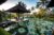 Villa Taman Di Blayu – Bali – Indonesia