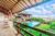 Amani 4 BR Private Pool IR13B – Bali – Indonesia